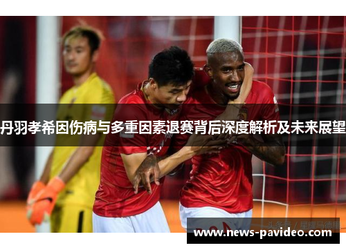 丹羽孝希因伤病与多重因素退赛背后深度解析及未来展望