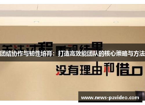 团结协作与韧性培育：打造高效能团队的核心策略与方法